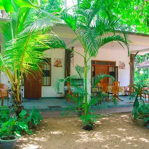 Amba Sewana Homestay Sigiriya