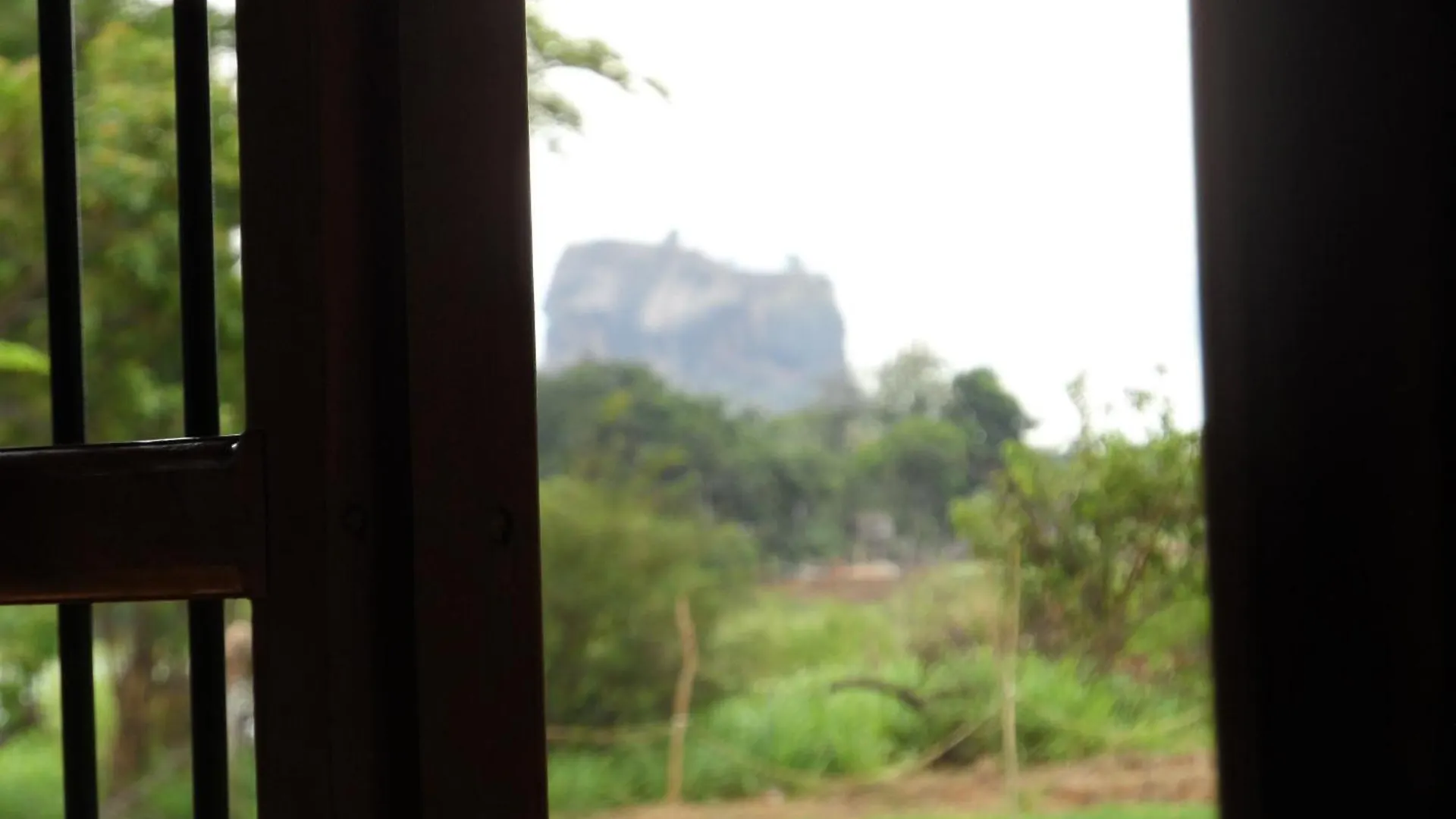 Sigiri Lake Paradise Sigiriya Sri Lanka
